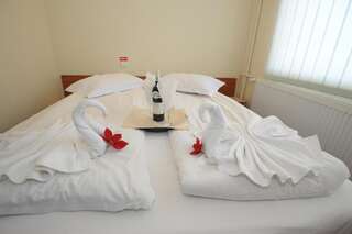 Отель Hotel Pin Azuga Азуга Двухместный номер эконом-класса с 2 отдельными кроватями-1